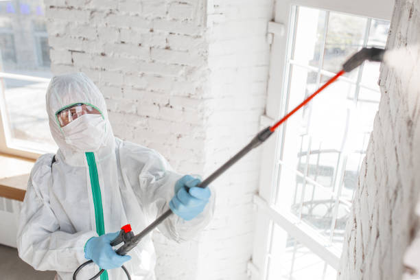 Best Mold Prevention Services  in York, NE